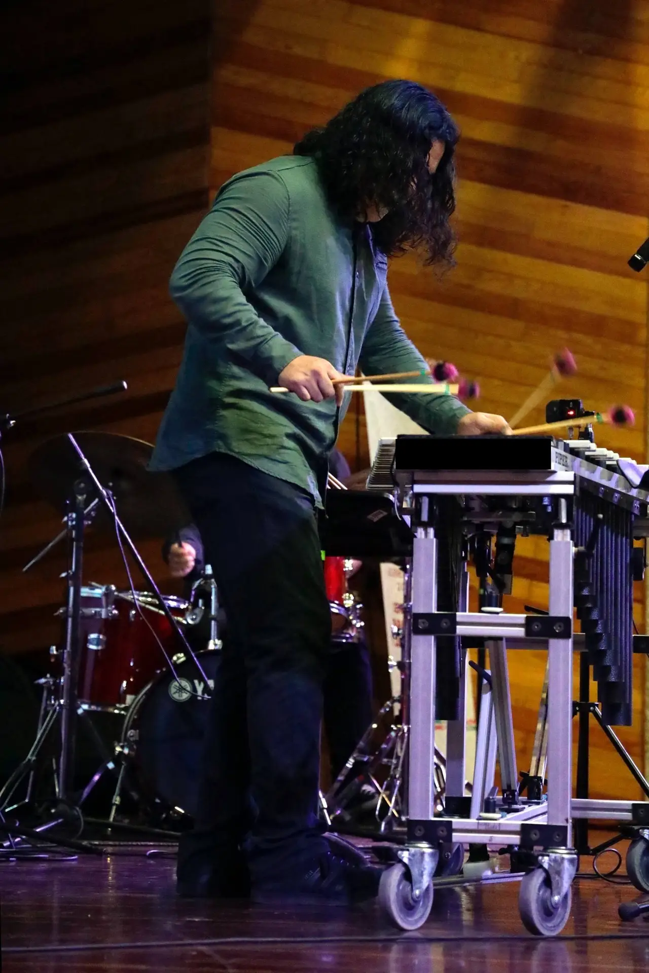 Francisco Bernal en concierto