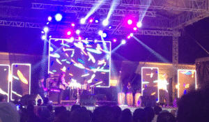 músicos en vivo