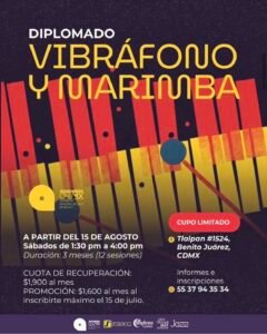 Flyer diplomado